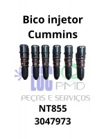 Bicos Injetores Cummins NT855