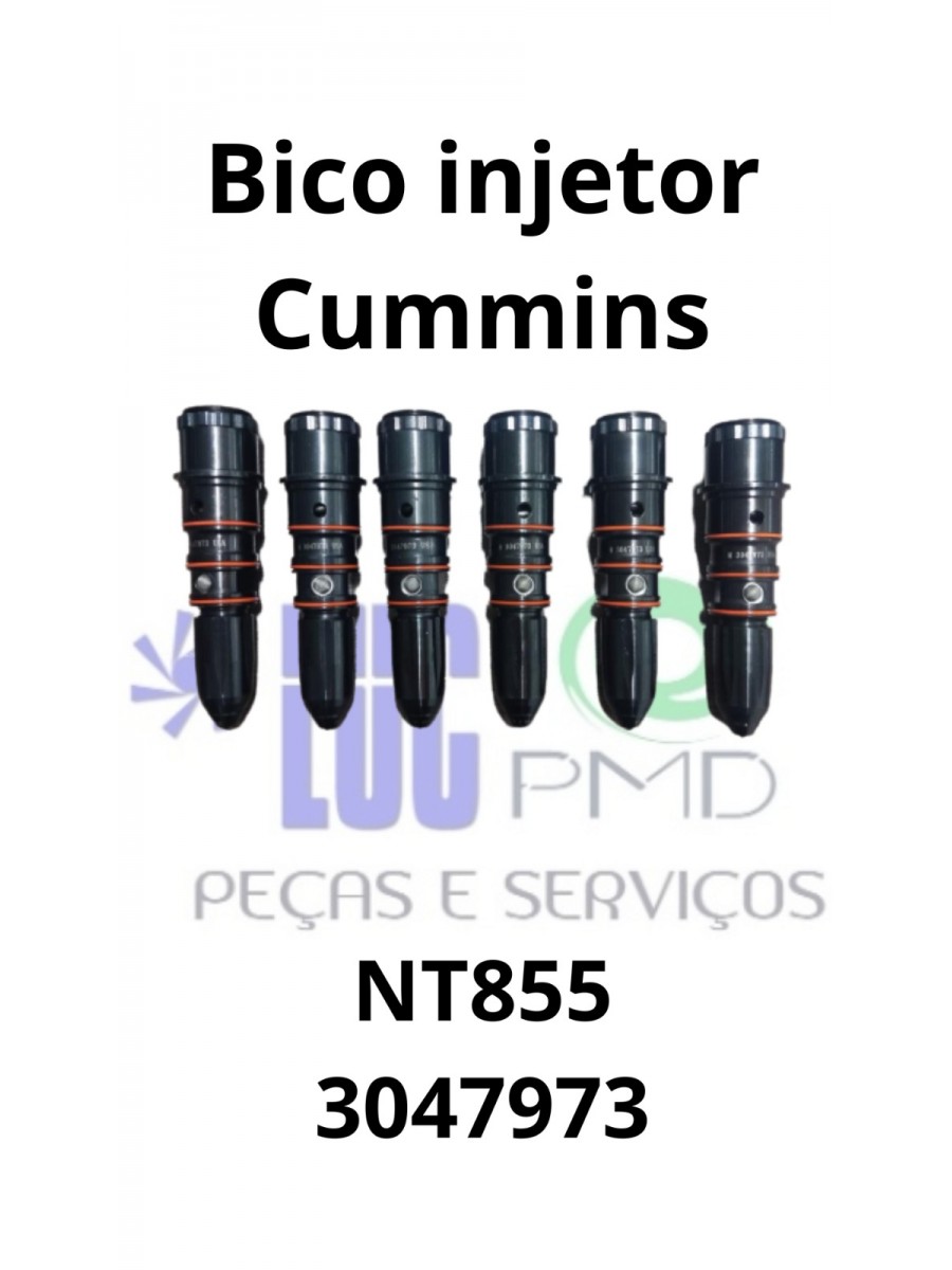 Bicos Injetores Cummins NT855