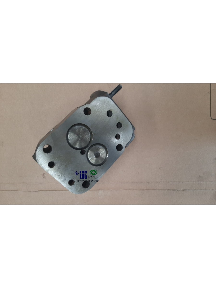 Cabeçote Mwm 226 922901800445 (a Base De Troca)