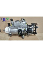 Bomba Injetora  DELPHI V3349F333T